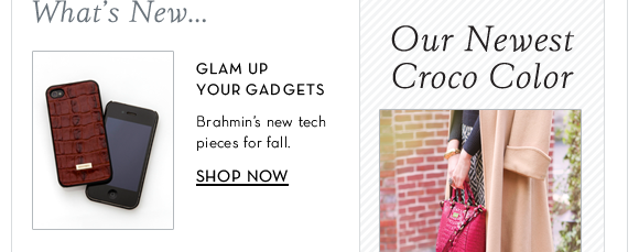 Brahmin.com